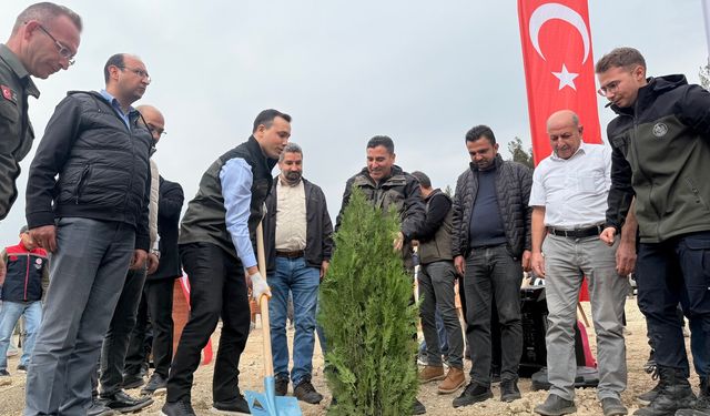 Mersin’de fidanlar geleceğe nefes tuttu