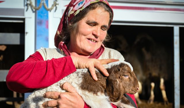 Mersin'de yem ve küçükbaş desteği üreticiyi güçlendiriyor