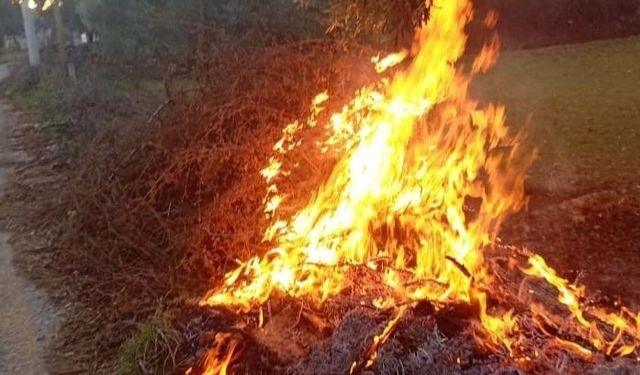 Milas’taki yangın kısa sürede söndürüldü