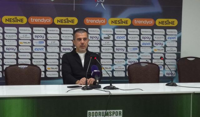 İstanbulspor Teknik Direktörü Avcı: "Milli arayı iyi değerlendirmeye çalışacağız"