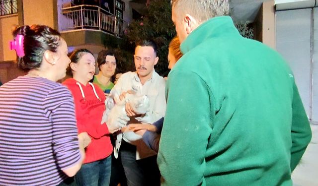Antalya'daki yangında 2 kedi telef oldu, sahipleri gözyaşlarına boğuldu