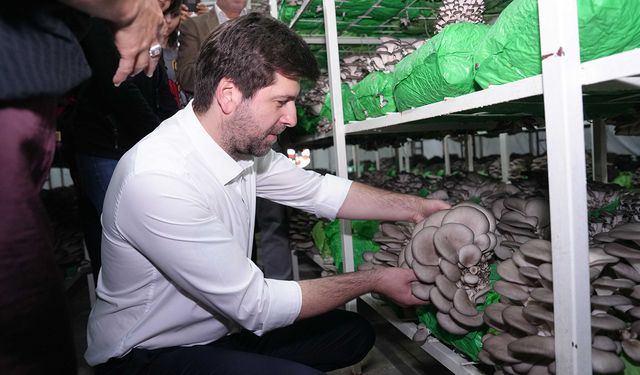 Tarsus’ta istiridye mantarı kursunda ilk hasat sevinci