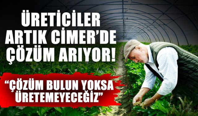 Üreticiler artık CİMER’de çözüm arıyor! “Çözüm bulun yoksa üretemeyeceğiz”