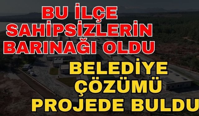 Antalya’da bu ilçe sahipsizlerin barınağı oldu belediye çözümü projede buldu