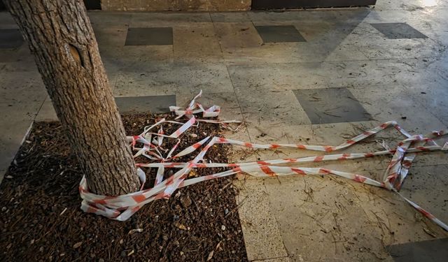 Antalya’nın dünyaca ünlü Konyaaltı Sahili'nde yenileme var temizlik yok