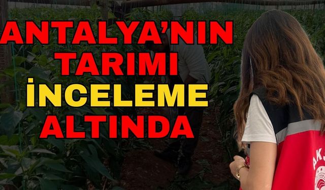 Antalya’nın tarımı inceleme altında