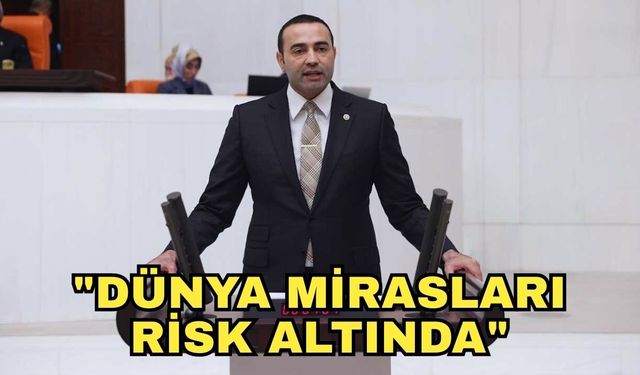 Milletvekili Kaya'dan Tarım ve Orman Bakanlığı'na çağrı! "Dünya mirasları risk altında"