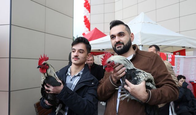 İndirim kuyruğuna horozla katıldılar