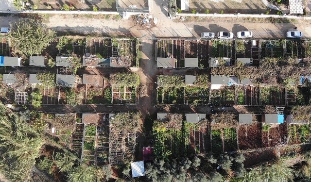 Mersin'de belediye, kronik hastaların hobi bahçesini yıkacak iddiası