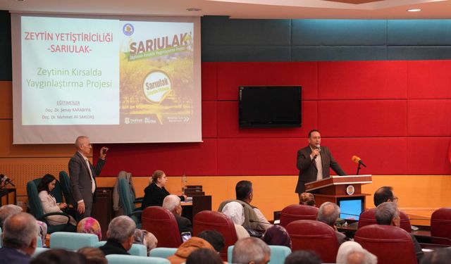 Mersin’de Sarıulak zeytini için üreticilere eğitim verildi