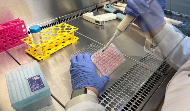 Parkinson’da bağırsak- beyin iletişimi çip üstü organ teknolojisiyle araştırılıyor