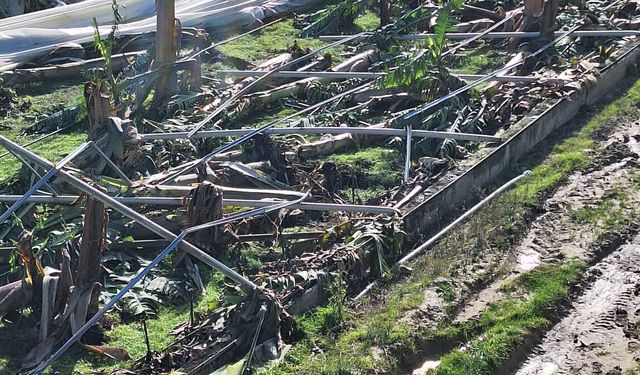 Antalya’da hortumun neden olduğu zarar, gün ağardığında ortaya çıktı