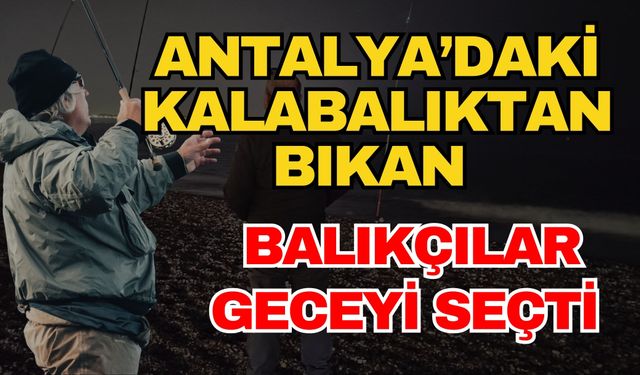 Antalya’daki kalabalıktan bıkan balıkçılar geceyi seçti