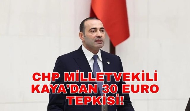 CHP Milletvekili Kaya'dan 30 Euro tepkisi!