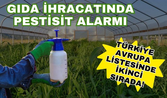 Gıda ihracatında pestisit alarmı: Türkiye, Avrupa listesinde ikinci sırada