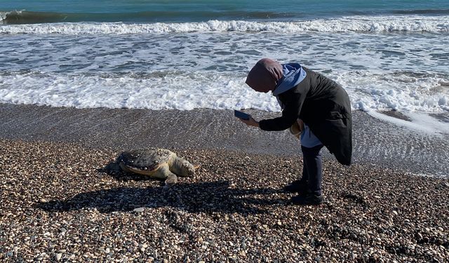 Mersin sahilinde üzücü olay