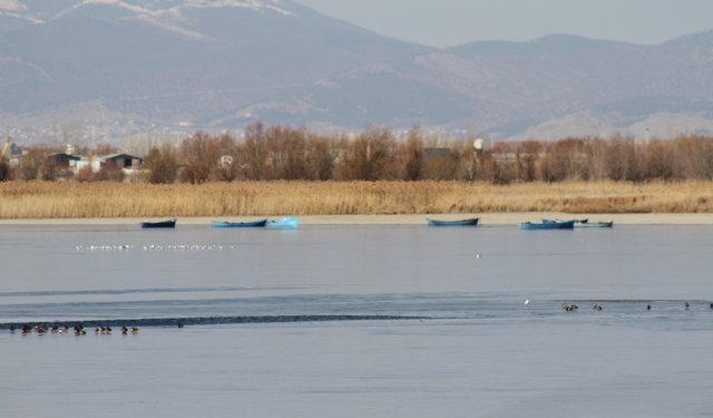 Şiddetli soğuklar Beyşehir Gölü kıyılarının buz tutmasına yol açtı
