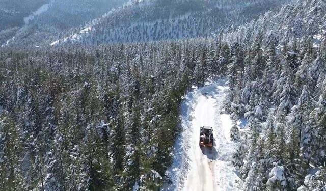 Türkiye’nin en sıcak şehrinde yürekleri soğutan manzara
