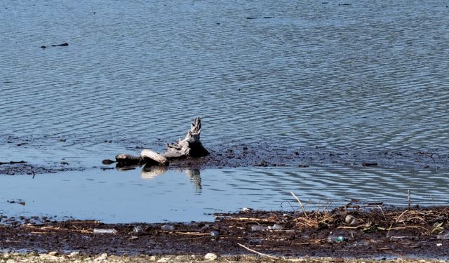 Adana’da yağışlar yüz güldürdü