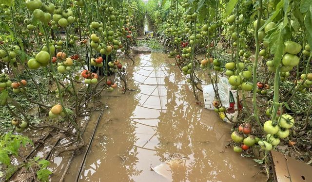 Antalya’daki üreticilerden devlet yetkililerine çağrı