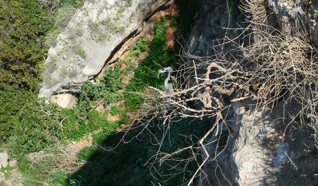 Antalya'nın incisi Falez Park'ta "Vurdumduymazlık" manzaraları