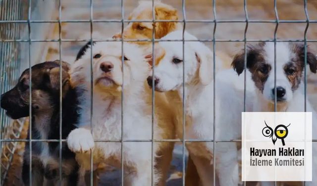 HAKİM'den Kumluca Belediyesi'ne şok iddia: Avukata şiddet olayında sosyal medya polemiği