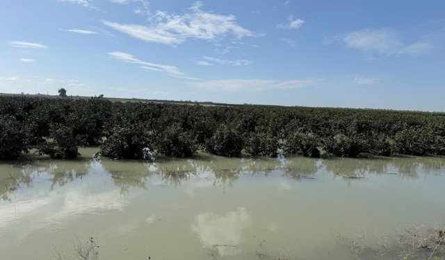 Mersin’de nehir taştı şehir sular altında kaldı