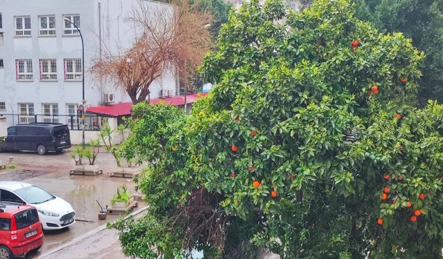 Adana’nın bayramdaki havası belli oldu