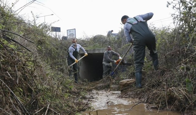 Mersin genelinde 115 bin noktada düzenli ilaçlama süreci başladı