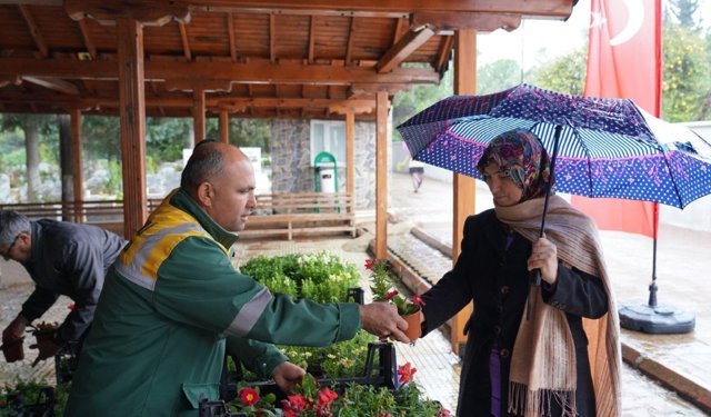 Mersin ücretsiz çiçeklendi