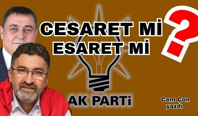 Cesaret mi? Esaret mi?