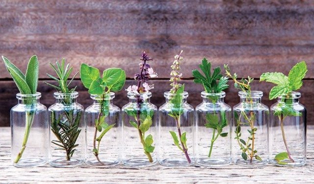 Antalya’daki o sektör kuraklığın acısını çıkarmaya hazırlanıyor