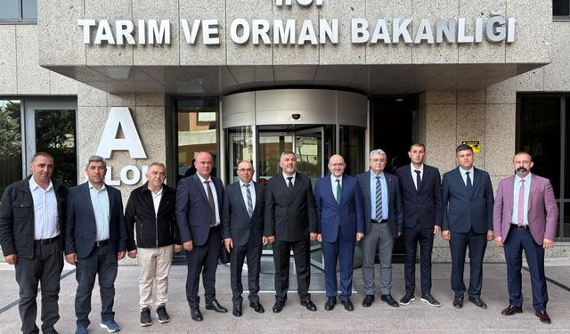 Burdur’dan anason mesaisi
