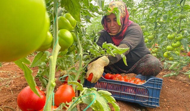 Ukrayna ve Arnavutluk, Türkiye’yi tehdit ediyor