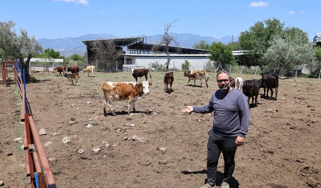 17 yıllık avukatlık mesleğine hayvancılığı da ekledi