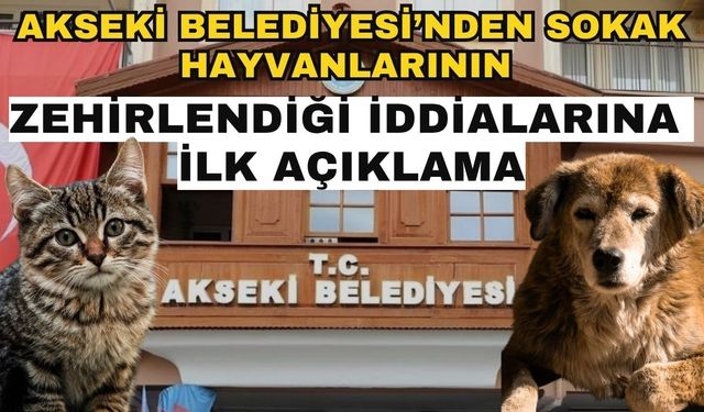 Akseki Belediyesi’nden sokak hayvanlarının zehirlendiği iddialarına ilk açıklama