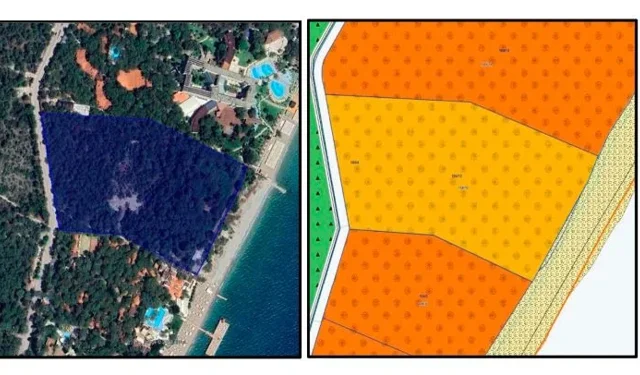 Antalya’da 71 dönümlük orman arazisi turizme açıldı, tartışma başladı