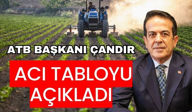 ATB Başkanı Çandır acı tabloyu açıkladı! Gıda fiyatları uçarken üretici refahı düştü