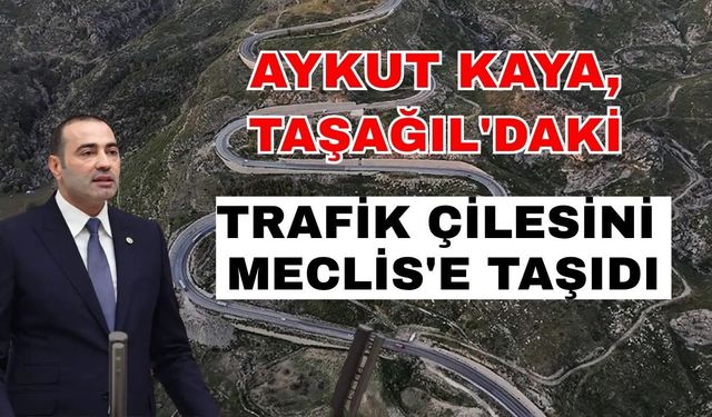 Aykut Kaya, Taşağıl'daki trafik çilesini Meclis'e taşıdı