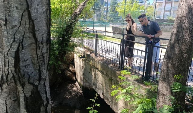 Manavgat Irmağı'nda endişelendiren görüntü