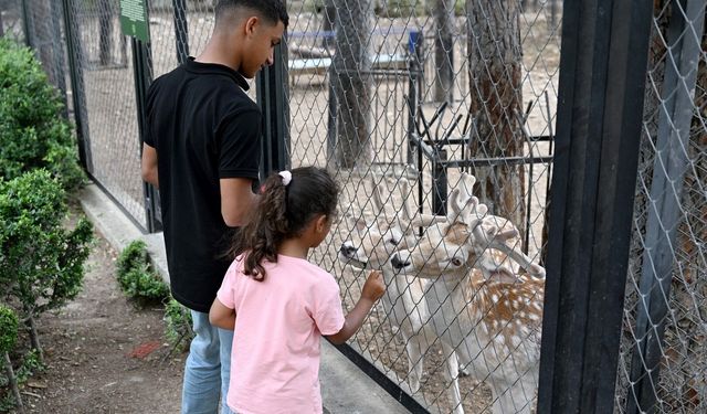 Tatilciler akın akın Tarsus Doğa Parkı’na gitti