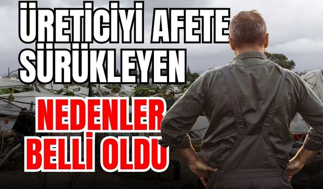 Üreticiyi afete sürükleyen nedenler belli oldu