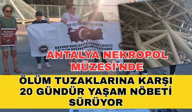Antalya Nekropol Müzesi’nde ölüm tuzaklarına karşı 20 gündür yaşam nöbeti sürüyor