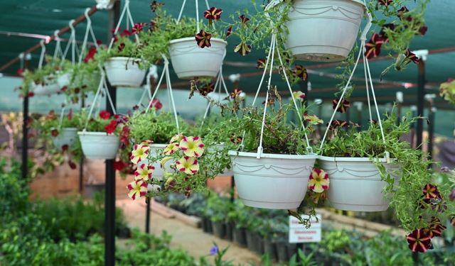 Antalya’da beklenen ‘Bahçe Market’ projesi için sayılı günler