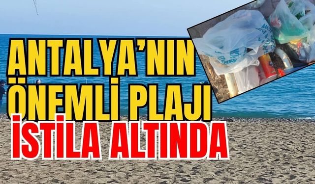 Antalya’nın önemli plajı istila altında
