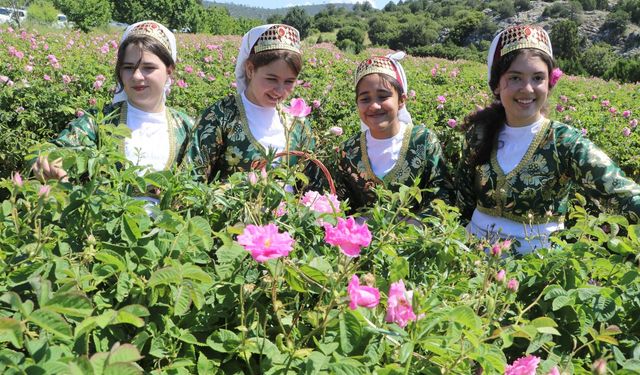 Göl manzaralı bahçelerde gül hasadı