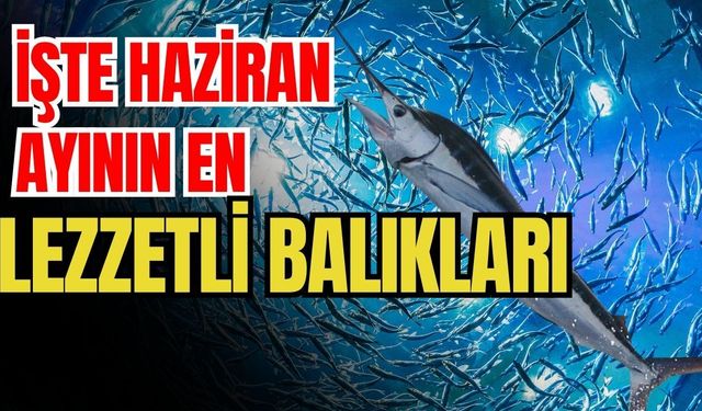 İşte haziran ayının en lezzetli balıkları