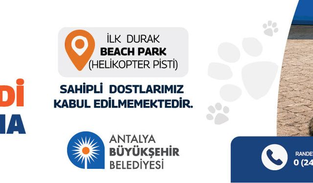 Antalya Büyükşehir Belediyesi kedi ünitesi ilanı