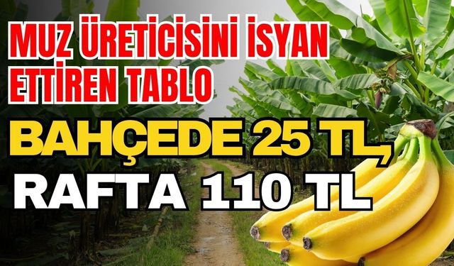 Muz üreticisini isyan ettiren tablo: Bahçede 25 TL, rafta 110 TL