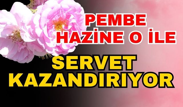 Pembe hazine o ile servet kazandırıyor